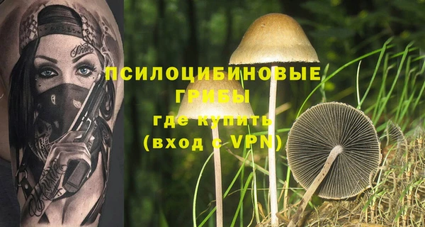 скорость Алексин